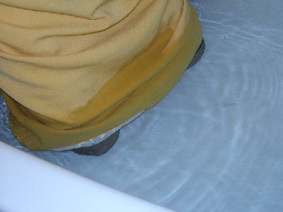 DCAM0021.JPG