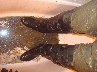 1st_cola_cleaning_sm.jpg