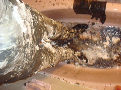 Muddy_foam_sm.jpg