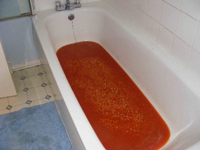 empty bean bath.jpg