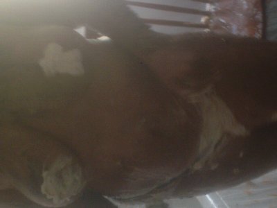 candy birtday 115.jpg