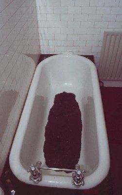 (1 of 14).jpg