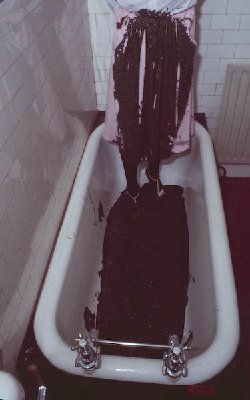 (9 of 14).jpg