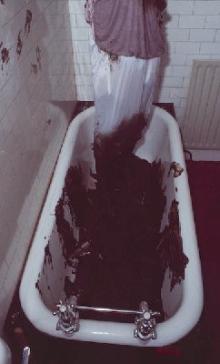 (13 of 14).jpg