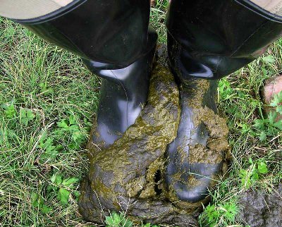 muck2.jpg
